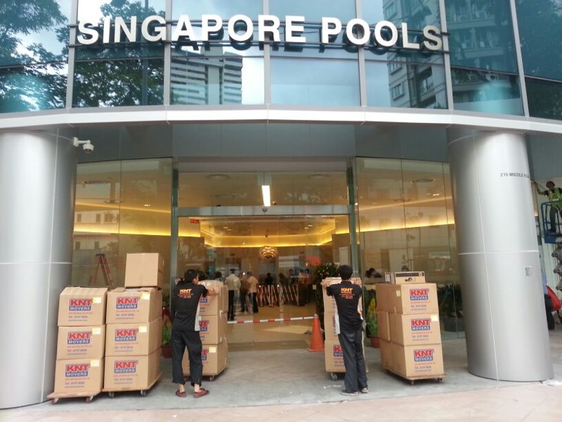 spore pool